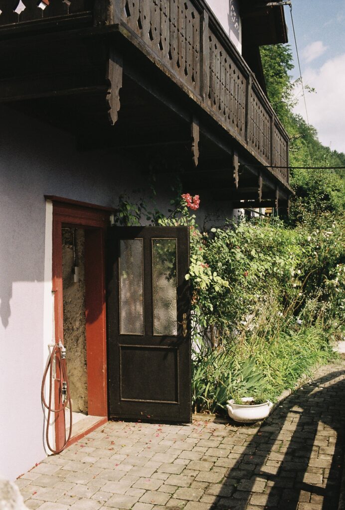 Film Photograph / Arden McLeod