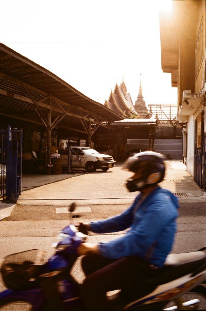 Film Photograph / Arden McLeod