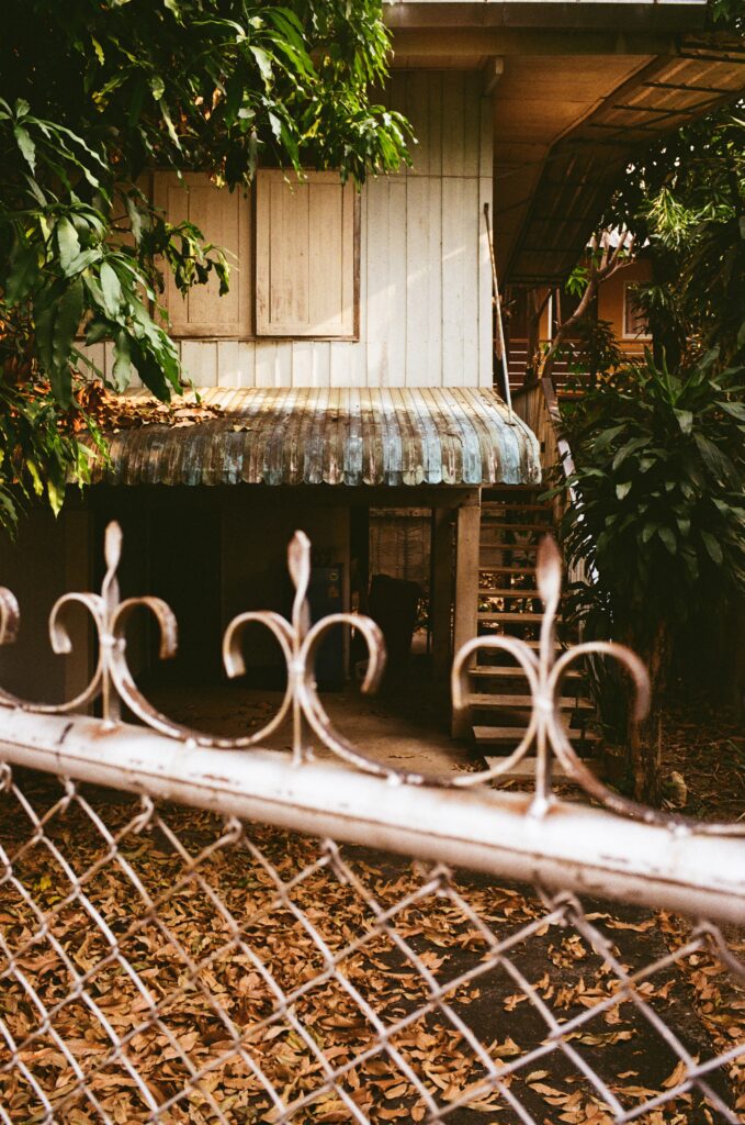 Film Photograph / Arden McLeod