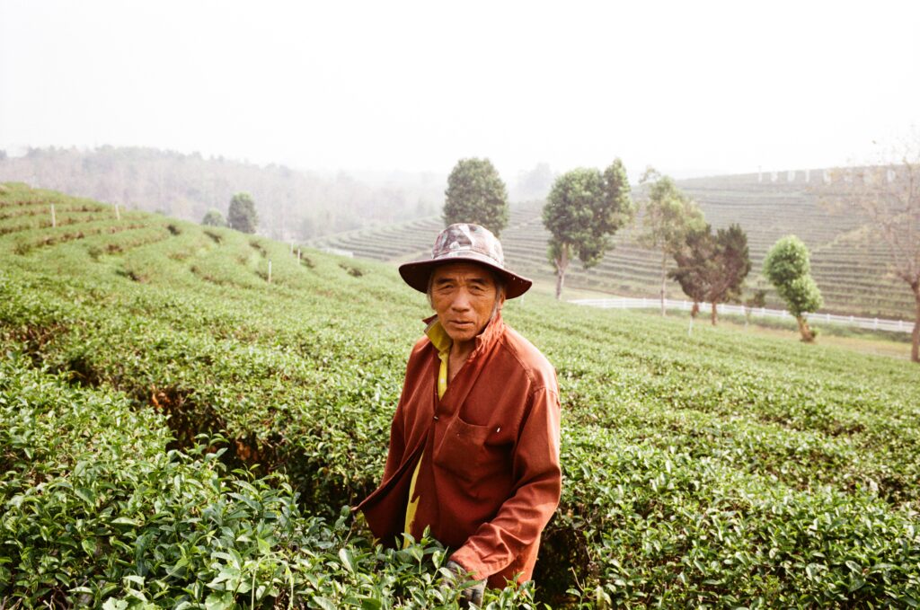 Film Photograph / Arden McLeod