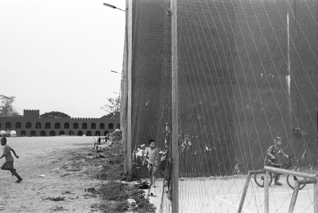 Film Photograph / Arden McLeod
